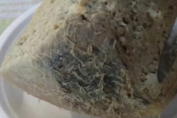 发酵的饼肥生蛆了如何解决，暴晒数小时可以晒死蛆虫