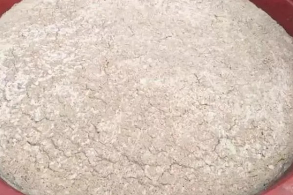 发酵的饼肥生蛆了如何解决，暴晒数小时可以晒死蛆虫