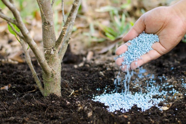 购买复合肥的误区，不能认为红色肥料就是含钾量多