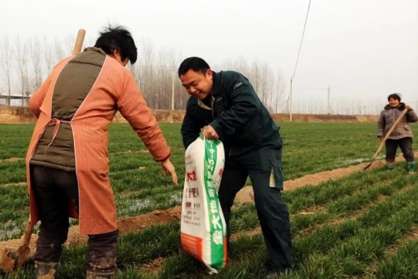 购买复合肥的误区，不能认为红色肥料就是含钾量多