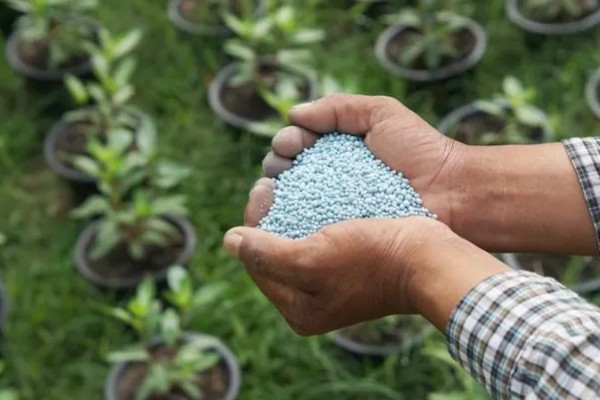 购买复合肥的误区，不能认为红色肥料就是含钾量多