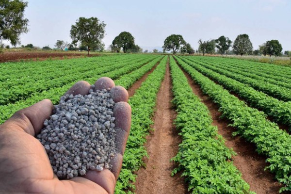 购买复合肥的误区，不能认为红色肥料就是含钾量多