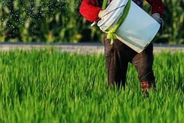 购买复合肥的误区，不能认为红色肥料就是含钾量多