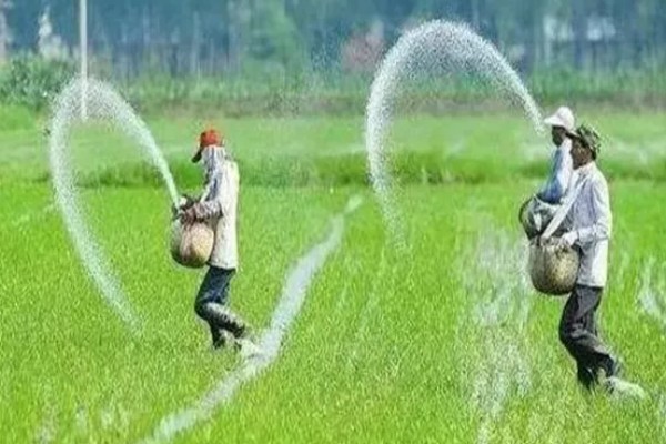 购买复合肥的误区，不能认为红色肥料就是含钾量多