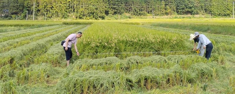 农业包括生产和哪些方面,分别是种植业、畜牧业