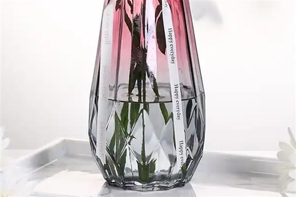 勿忘我的开放季节，一般在5-6月份盛开