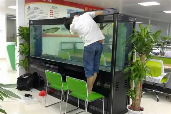 草缸能不加二氧化碳吗,不加二氧化碳是不行的