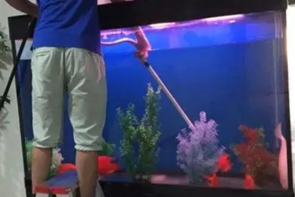 新买的鱼多久过危险期，需要三天