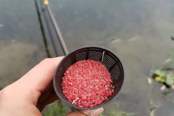 立春后钓鲫鱼如何打窝,将酒米等窝料加入钓饵中再抛竿