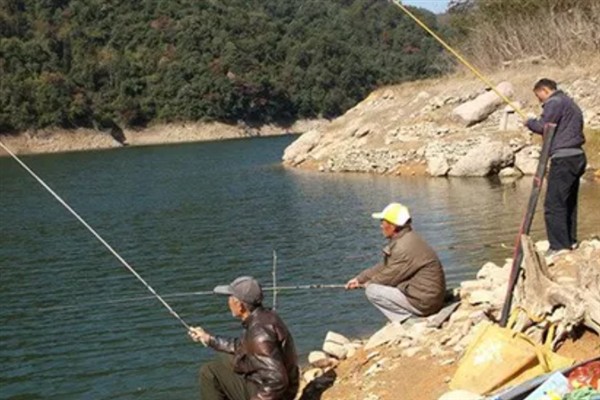 立春后钓鲫鱼如何打窝,将酒米等窝料加入钓饵中再抛竿