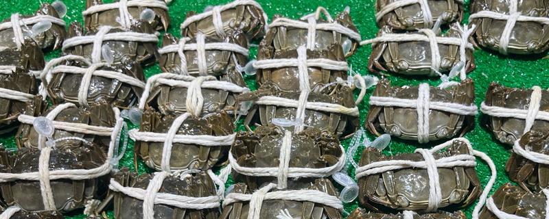 大闸蟹什么时候上市，一般从9月份开始供应
