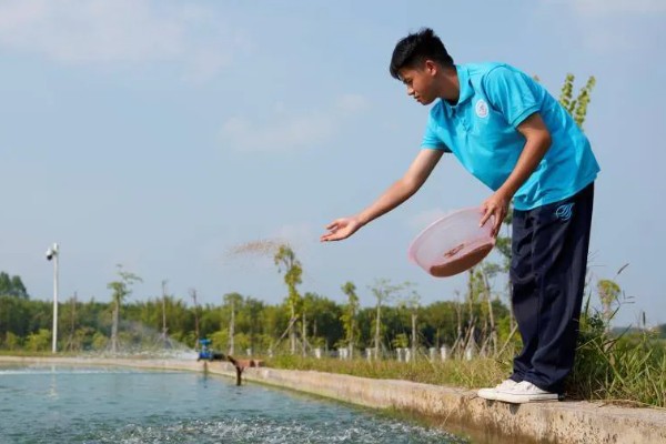 大闸蟹什么时候上市，一般从9月份开始供应