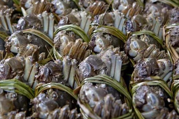 大闸蟹什么时候上市，一般从9月份开始供应