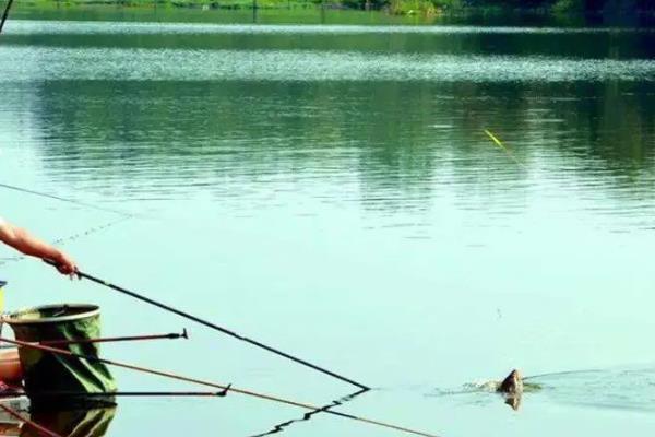 0.2号子线的拉力值介绍，大概是0.4-0.8公斤左右