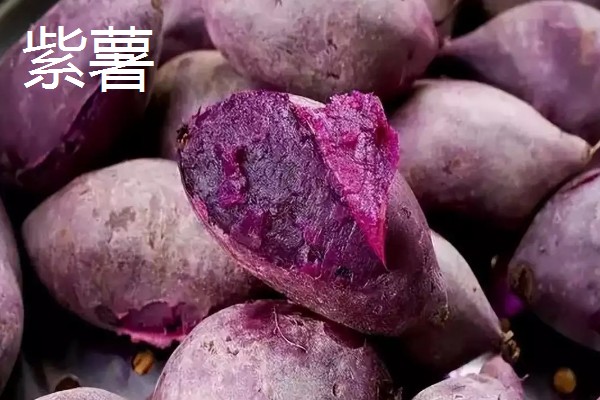 紫薯的产地，原产于日本