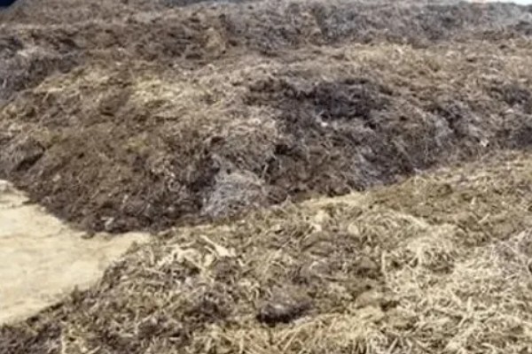农家肥怎么腐熟，常用以下3种方式