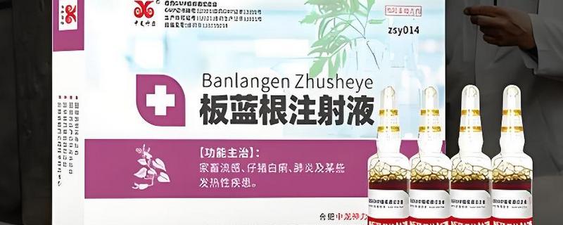 兽用板蓝根的说明，其有效期通常为2年
