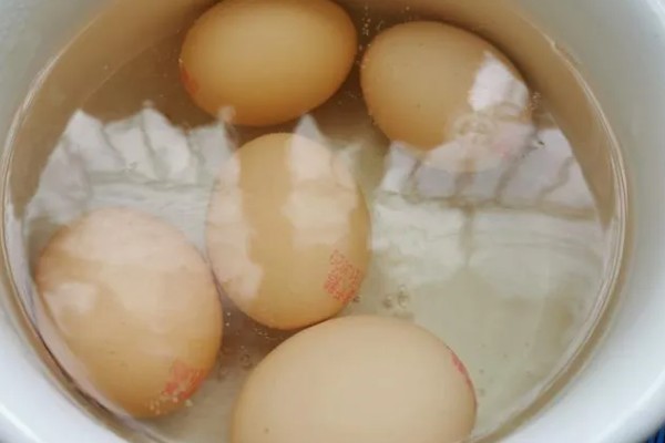 火鸡怎么孵化，孵化前期每隔2小时翻蛋一次