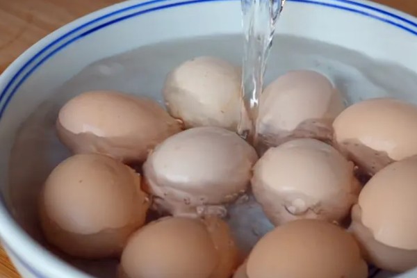 火鸡怎么孵化，孵化前期每隔2小时翻蛋一次