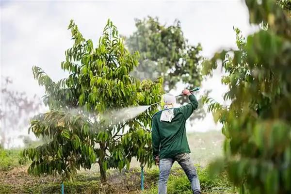 治蜂螨的药，有触杀剂、熏烟剂等