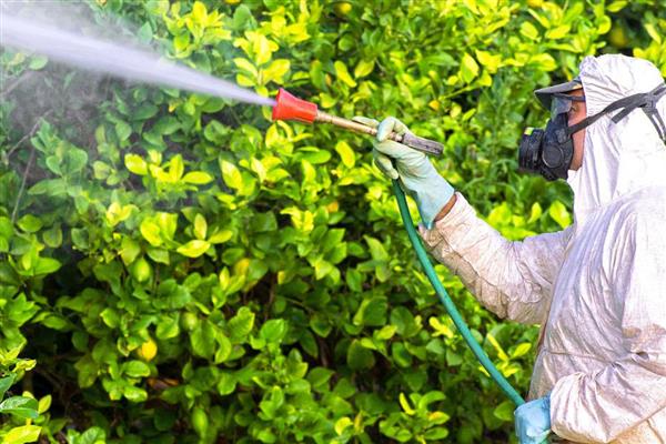 治蜂螨的药，有触杀剂、熏烟剂等