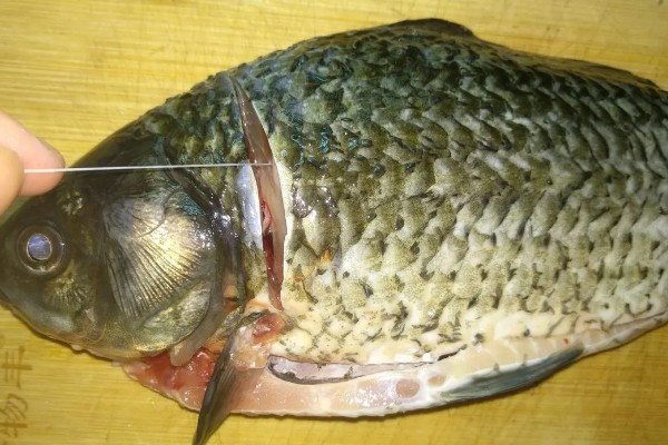 木棉花怎么吃,可冲泡饮用或烹饪