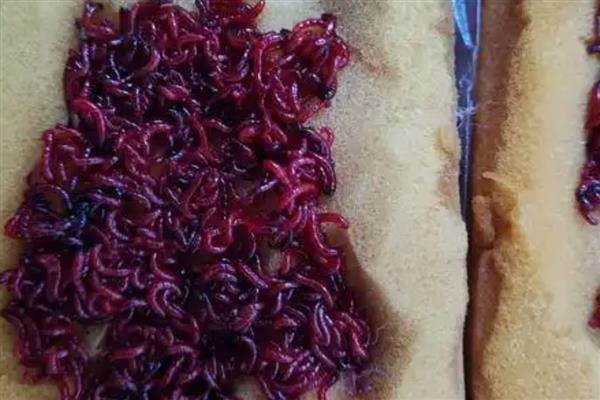红虫可以用来做什么，是鱼类的优良天然饵料