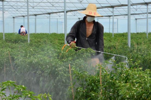 高氯马的防治对象，可防治稻苞虫、飞虱、叶蝉等