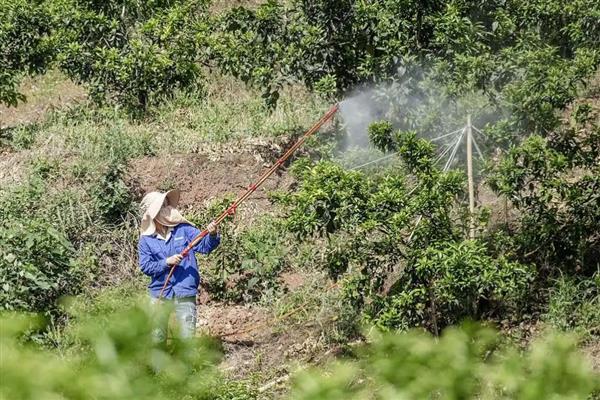 高氯马的防治对象，可防治稻苞虫、飞虱、叶蝉等