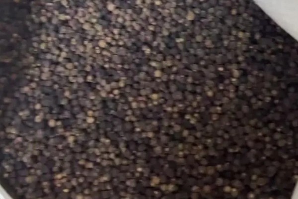 木耳菜要打农药吗，需要打农药