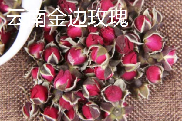玫瑰花泡茶方式，100℃的水温最好