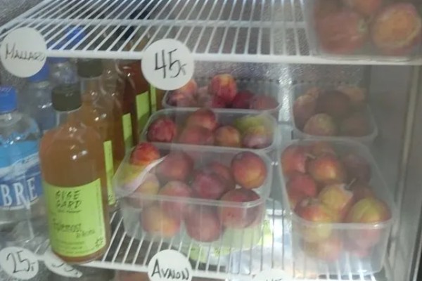 李子什么时候成熟，一般为5-9月份左右