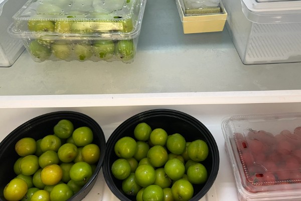 李子什么时候成熟，一般为5-9月份左右