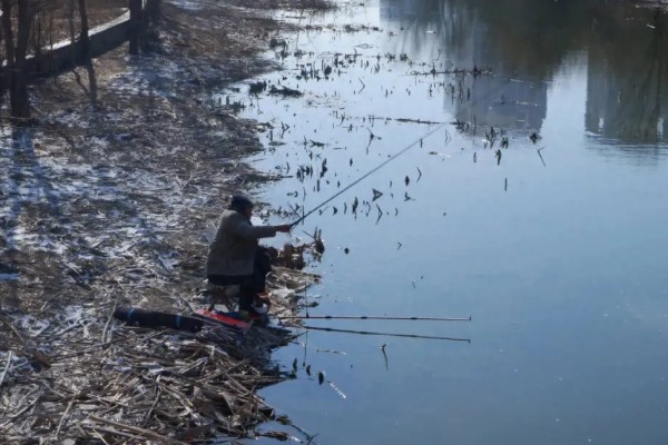 冬天可以钓鲫鱼吗，可以钓但难度大