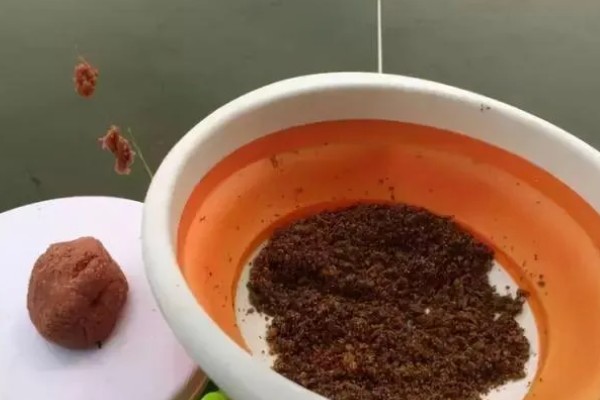 冬天可以钓鲫鱼吗，可以钓但难度大