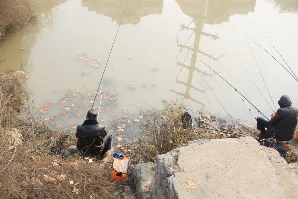冬天可以钓鲫鱼吗，可以钓但难度大