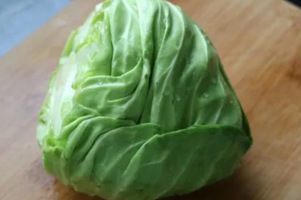 鸡心包菜有哪些特征，生长期约为150天