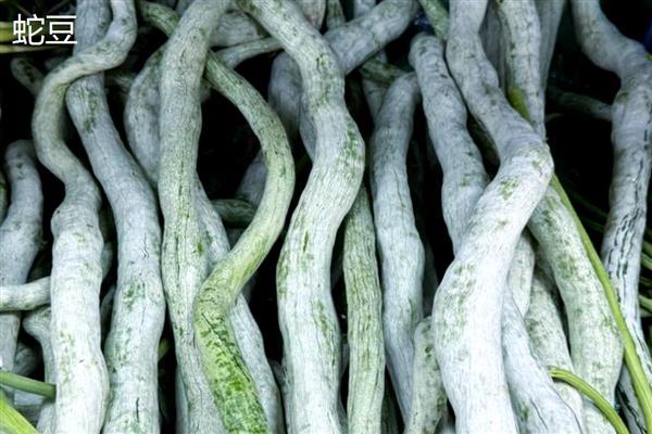 豆角的品种，分为四季豆、豇豆等种类