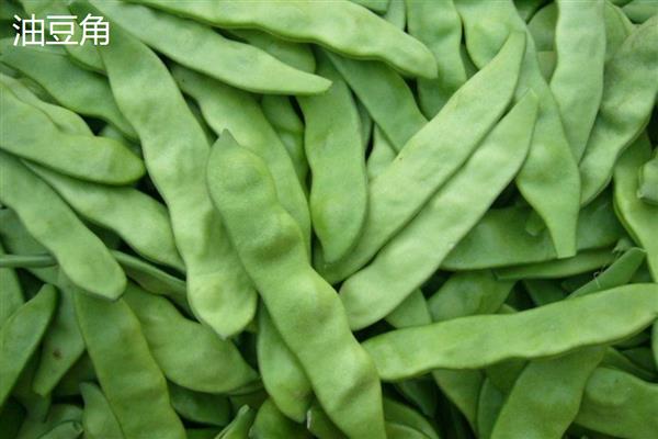 豆角的品种，分为四季豆、豇豆等种类