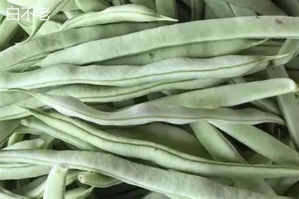 豆角的品种，分为四季豆、豇豆等种类