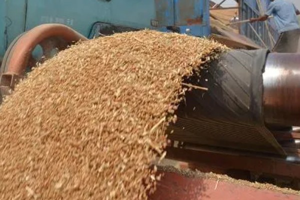 如何保管湿小麦,可采用以下6种方法