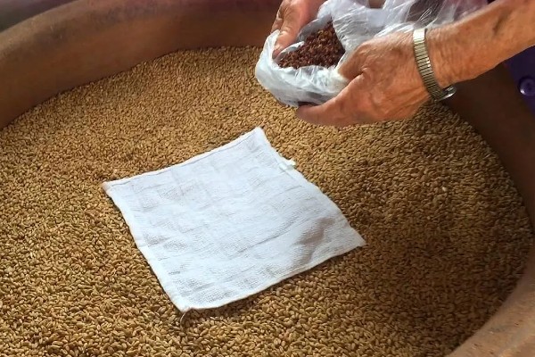 如何保管湿小麦,可采用以下6种方法