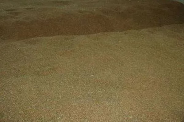 如何保管湿小麦,可采用以下6种方法