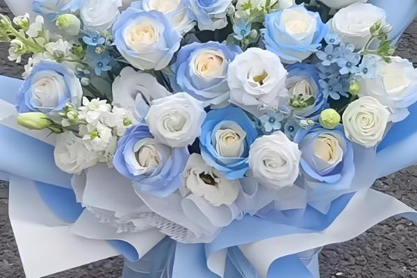 碎冰蓝的花语，寓意拥有灿烂的人生