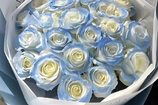 碎冰蓝的花语，寓意拥有灿烂的人生