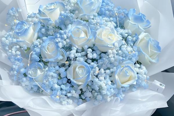 碎冰蓝的花语，寓意拥有灿烂的人生