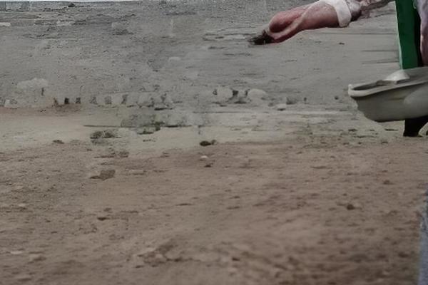 紫花地丁的养殖方法，采用撒播的方法进行播种