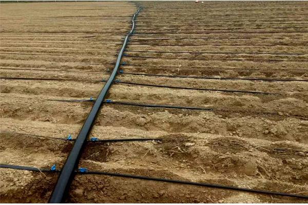 滴灌带的长度,最多能达到100米左右