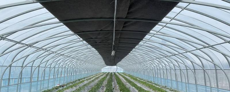 怎么区分农膜的质量，从以下7点出发去挑选