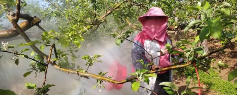 防治花果植物病虫害选择什么农药,针对不同植物选择不同的农药